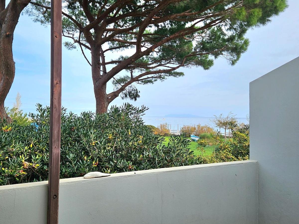 Ferienwohnung Domaine U Pozzu Sisco Exterior foto