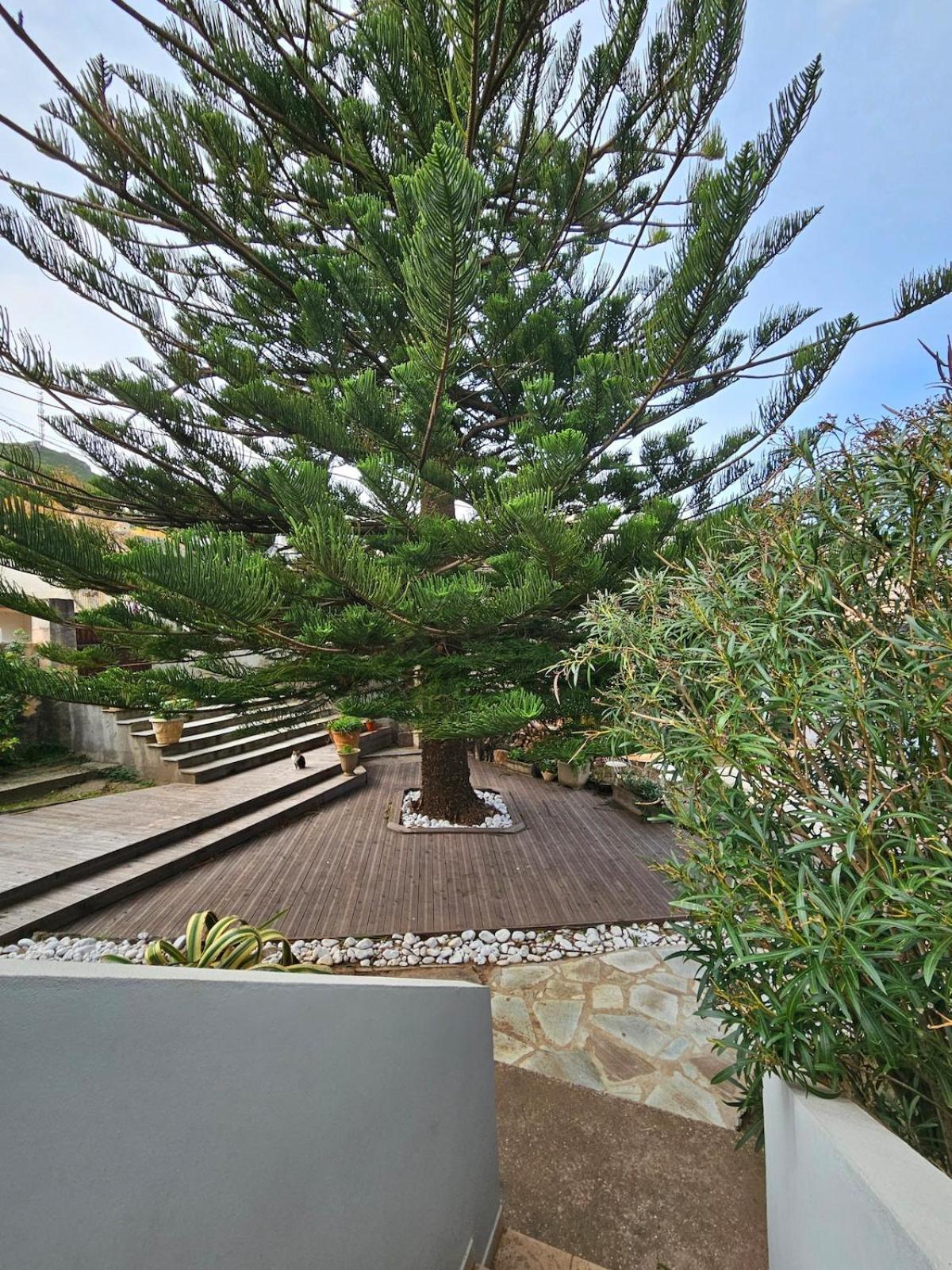 Ferienwohnung Domaine U Pozzu Sisco Exterior foto